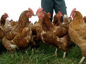 A 3km ‘protection zone’ has been set up to control an outbreak of ‘highly pathogenic’ bird flu in South Yorkshire.