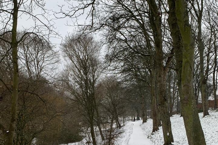 A brisk walk through the snow in one of our fine parks!
