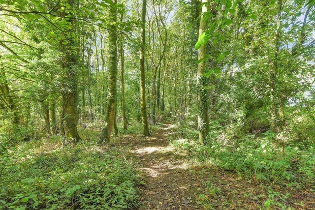 A particular highlight of this home is the two-acre bluebell woodland with pathways leading through creating a unique and tranquil area for walks right on the doorstep.