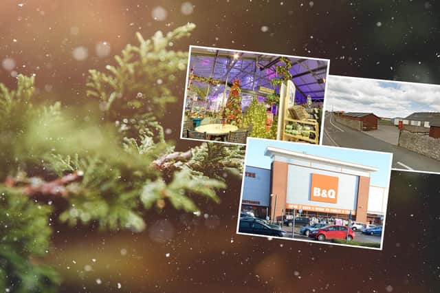 Seven places in and around Sunderland ehere you can get your hands on a tree for the festive season.