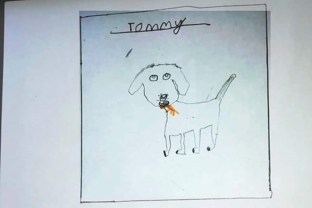Tommy the nine-week old Bichon Frise by Henry, aged 8.