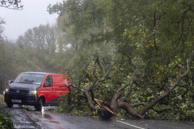 Vehicles mount the pavement to pass a fallen tree near Stanley, Perthshire as heavy rain and wind hits the area, which is now subject to a red weather warning. Picture: Katielee Arrowsmith/SWNS