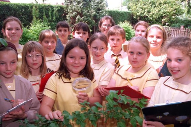 This youngsters won an award back in June of 1996 for a naturalist study they conducted at Sandall Beat Wood. Year five class of St Mary's School.