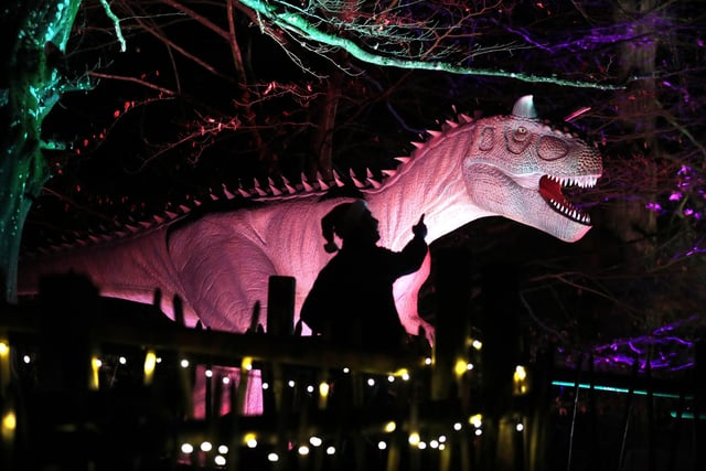 Visitors to Blair Drummond Safari Park near Stirling, Scotland, enjoy the illuminations installed in the Safari Park's new 'World of Dinosaur' exhibit.