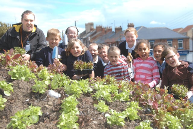 Year Four pupils planted this magnificent flower display in 2009. Can you recognise any of the children pictured?
