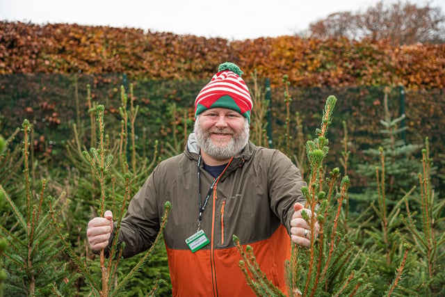 Christmas trees grown on the Longshaw estate will be on sale, just off the main Woodcroft car park, until Saturday, December 19, from 9.30am to 4pm (www.nationaltrust.org.uk)