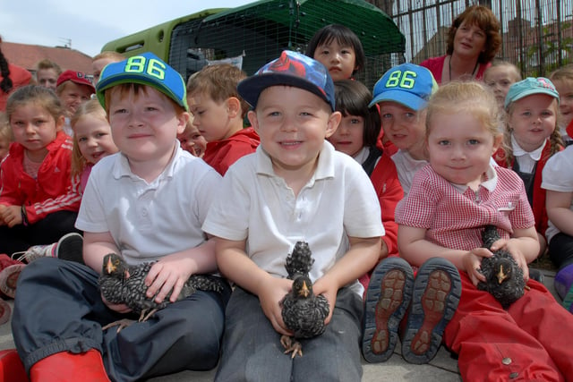 A new chicken coop for the tots at Boldon Nursery in 2013. Pictured front left  are Noel Green , Adam Coatsworth and Macey Fryer.