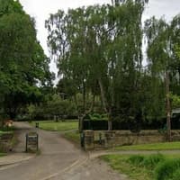 Concerns raised after vandals attack trees in popular Sheffield park
