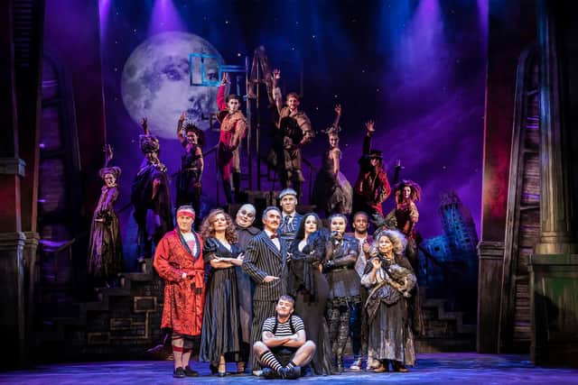 The cast of The Addams Family - The Musical Comedy. Photo: Pamela Raith