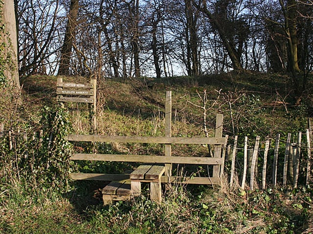 A little circular path takes you through  a small area of broadleaved woodland where ash, oak and wych elm meet to offer a lovely, calming experience