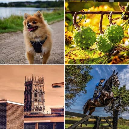 Click through the article to see the best photos we have featured on our Instagram page this week.
Use the hashtag #doncasterfreepress to show us photos you would like to share with our readers.