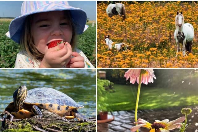 10 wonderful summer photos