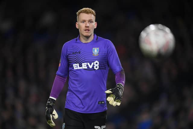 Sheffield Wednesday stopper Cameron Dawson will spend this season on loan with Exeter City.