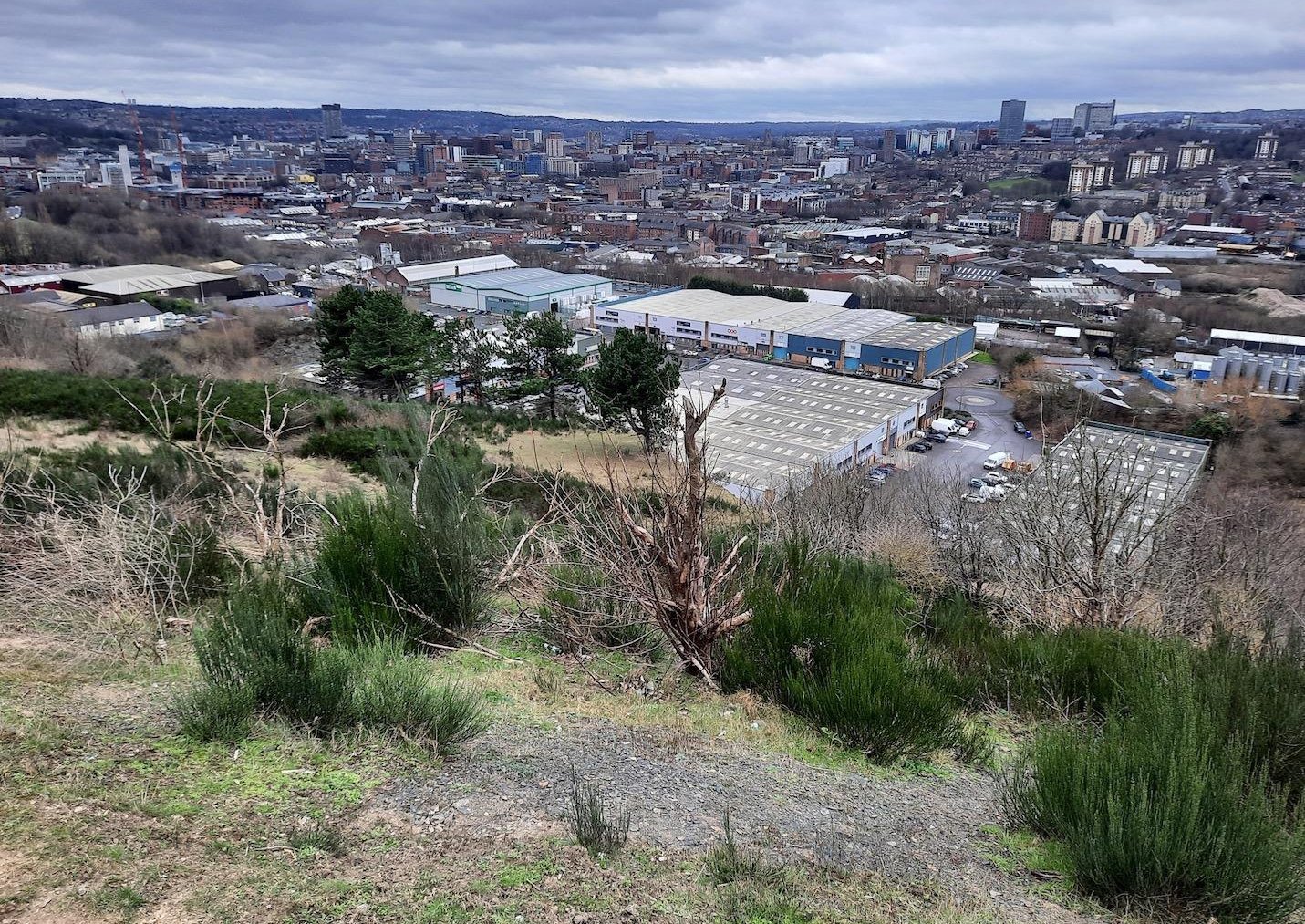 Sheffield housing: City council rules out homes on Parkwood Springs ...