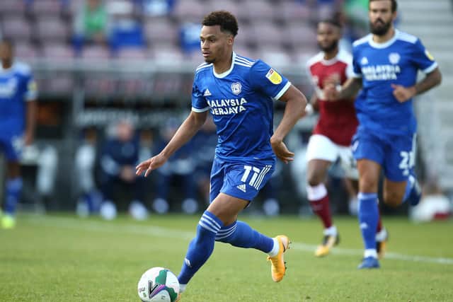 Cardiff City winger Josh Murphy is reportedly interesting Sheffield Wednesday. (Photo by Pete Norton/Getty Images)
