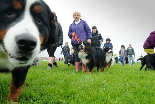 A reminder from the Great North Dog Walk 2012. Were you there?