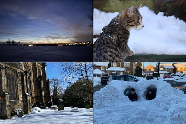 Readers have shared photos of the snow in their gardens and neighbourhoods around Sheffield.