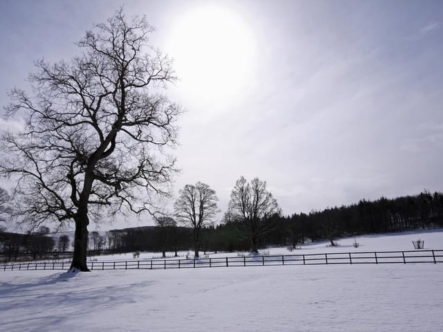 Odds: 5/2. Implied chance of snow on Christmas Day: 28.60%