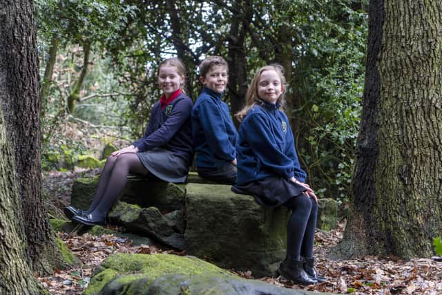 Pupils Nieve, Harry and Chloe from Loxley Primary School who have joined a campaign to celebrate Robin of Loxley.  Picture Scott Merrylees