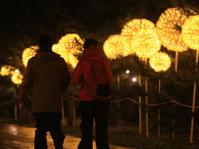 A spectacular light and lantern festival created some dazzling Christmas magic as the award-winning Yorkshire Wildlife Park unveiled the Winter Illuminations trail today. Picture: Chris Etchells