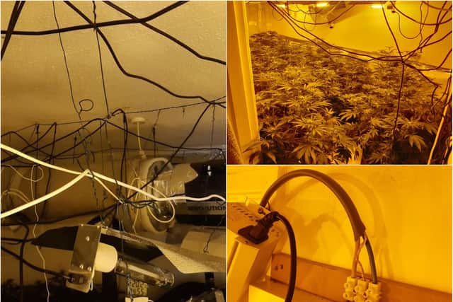 This cannabis cultivation set-up was dismantled after police found it in a house in Burngreave, Sheffield