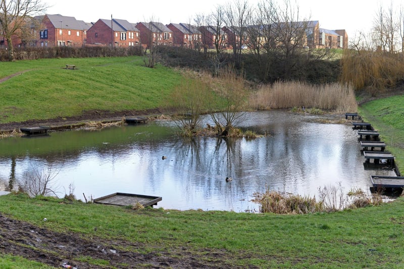 Arbourthorne Pond. Jennifer Mohammed Jones said: "Arbourthorne is lovely, gets a bad rep but it's a lovely clean largely quiet area with lots of green spaces and beautiful views of the city and the green hills beyond."