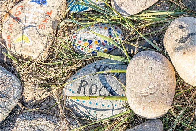 Painted rocks pictured by Carol McKay.