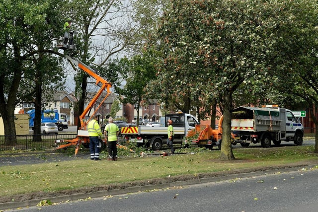 Council workmen make trees safe on the A689 Belle Vue Road in Hartlepool after Storm Ali battered the town with 60mph winds in 2018.