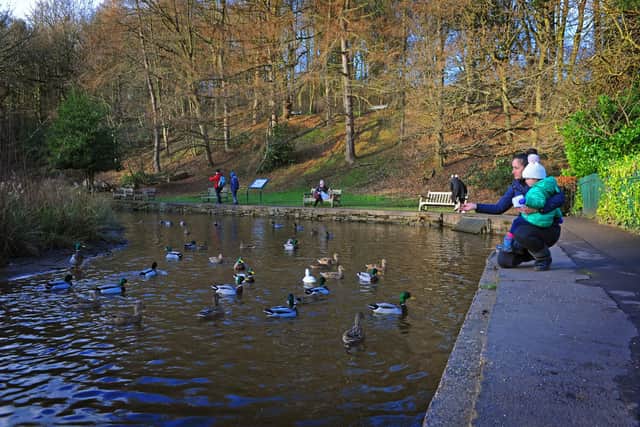 You can enjoy a playground, ducks and a cafe at this park, situated on the Porter Brook. It’s 49 acres of sheer beauty and a great place to take the kids for some fresh air and enjoy some autumn sunshine. Located at 9 Whiteley Ln, Sheffield S10 4GL.