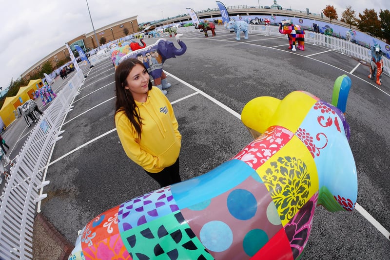 The Children’s Hospital Charity Herd of Sheffield sculpture trail held a farewell weekend at Meadowhall shopping centre in October 2016. It was the last chance for the public to say goodbye to the 58 much-loved Herd of Sheffield elephant sculptures before they were auctioned off to raise money. The charity's Megan Barnsley is seen here with some of the elephants