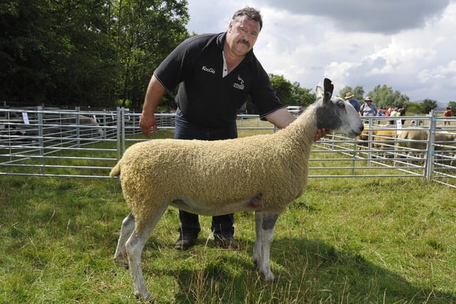 Show champion in 2012 was this Blue Faced Leicester with Michael Gray from Espley.