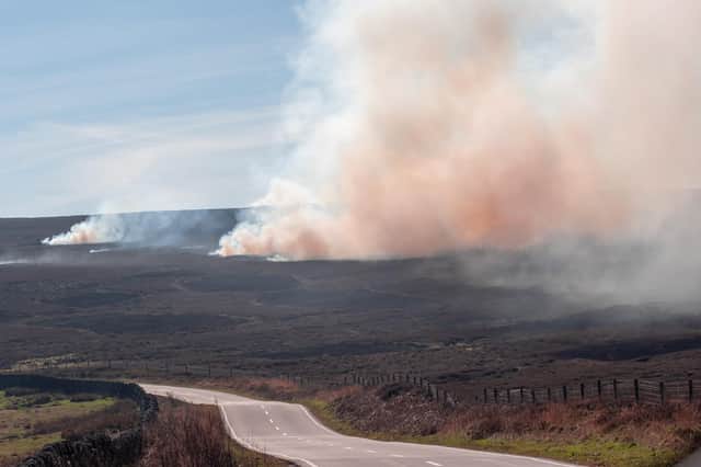 Controlled fires on Strines Moor, Sheffield, to regenerate the heather for the grouse chicks to feed on these are grouse shooting moors sent in by Michael Hardy