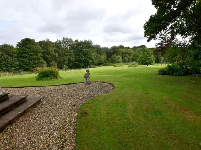 Garden.