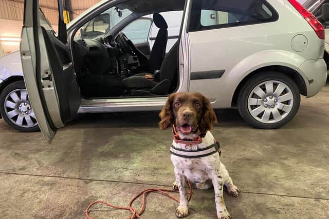 Police Dog Spud has retired from South Yorkshire Police