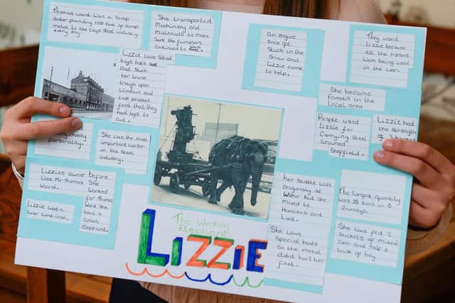 Lilly Holmes from Killamarsh is appealing for help and advice to honour Sheffield's Lizzie the Elephant with a statue for her in the city