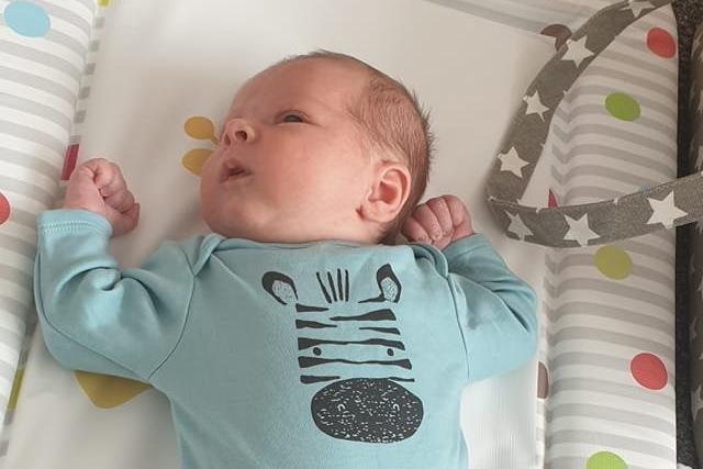 Harry James Pook was born on April 8.
