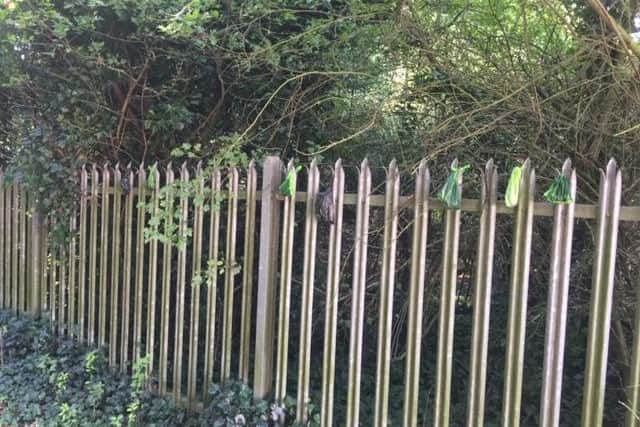 Bags of dog mess hung on school railings of Aston Hall Junior and Infant,  School Lane, Aston,