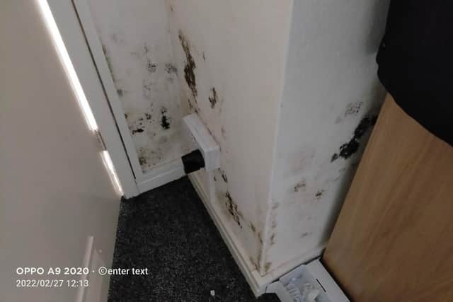 Antonio Costa says the flat he was given in Winterhill Road was "covered" in black mold.