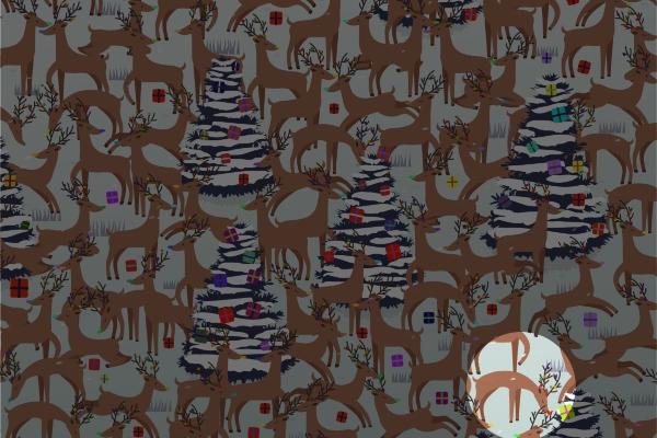 Rudolph was hiding in the bottom right corner all along.