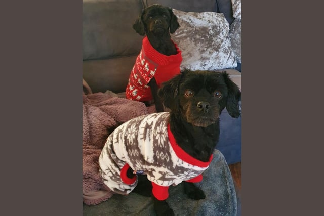 Penny and Daisy, age 5, in their fluffy festive jumpers.