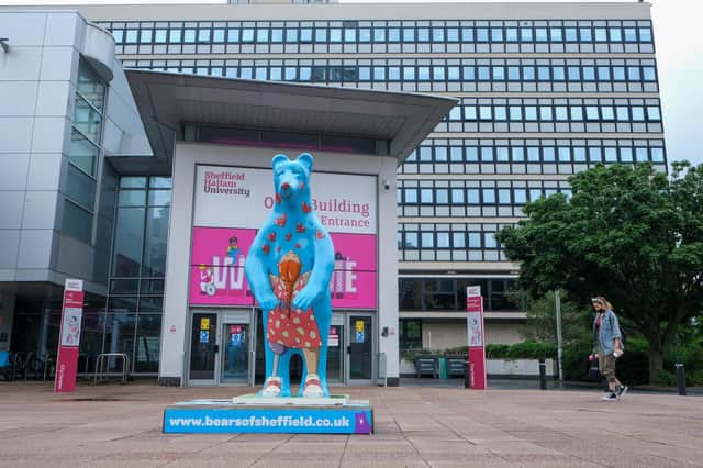 Pete Mckee's 'Thank You Sheffield Children's Hospital' Bear raised £30,000. The statue was sponsored by Sheffield Hallam University.