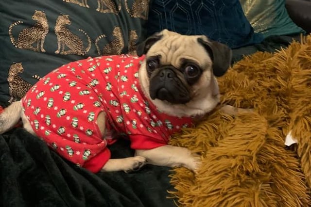 We're loving Nancy's Christmas pyjamas!