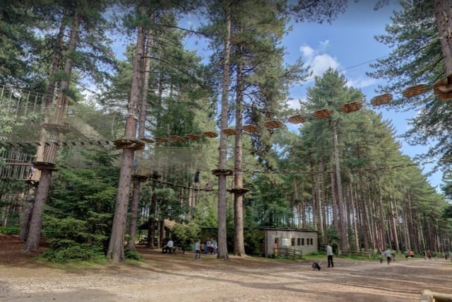 Take on all the fun obstacles from dizzying heights at Go Ape Sherwood.