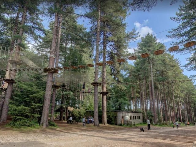 Take on all the fun obstacles from dizzying heights at Go Ape Sherwood.