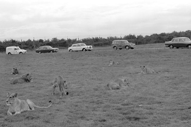 Plenty of visitors to the park in this scene from August 1974.