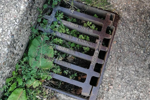 The drain - on King Street, Brimington, - was captured "nearly full to the top of silt" by the taker of this photo. "So much so  that vegetation is growing in it", they added.
"I'm assuming the others on this street are of the same state", said the concerned member of the public.