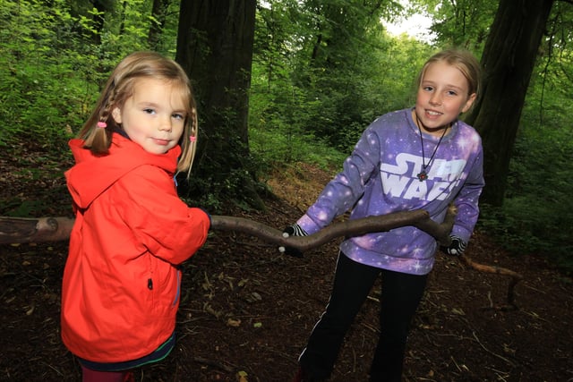 The Sheffield and Rotherham Wildlife Trusts are running 'wild play' sessions in Sheffield's Ecclesall Woods on October 27 from 10am to 2pm. Families can learn about bats, look for spiders and other gently spooky activities. (https://www.facebook.com/events/1832051076942190)