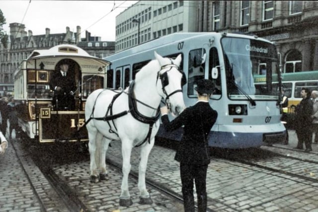 Horse-drawn tram no. 15 alongside Supertram no. 07 at the Cathedral Supertram stop, c. 1995 (picture reference T02810)