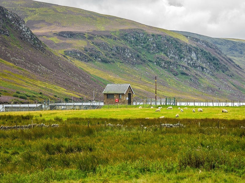 Around 1.92 million people visit the Cairngorms National Park every year from all over the world.