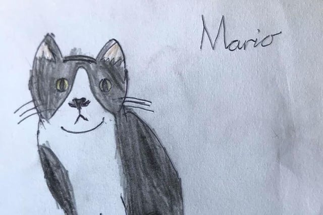 Ethan, aged 7 and his black and white cat, Mario.